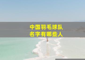 中国羽毛球队名字有哪些人