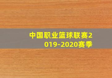 中国职业篮球联赛2019-2020赛季