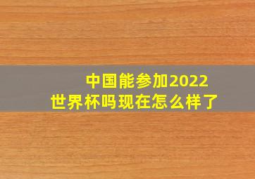 中国能参加2022世界杯吗现在怎么样了