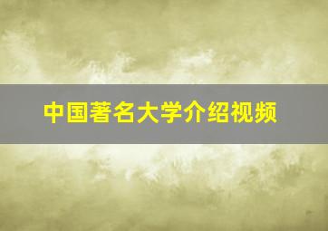 中国著名大学介绍视频