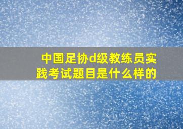 中国足协d级教练员实践考试题目是什么样的