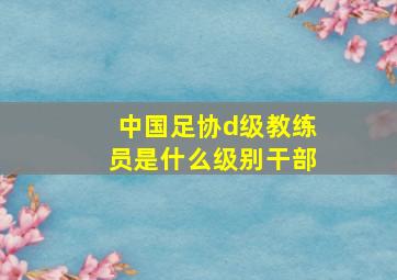 中国足协d级教练员是什么级别干部