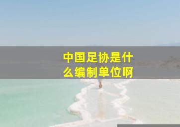 中国足协是什么编制单位啊