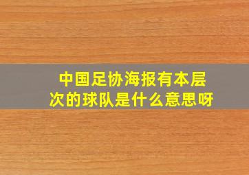 中国足协海报有本层次的球队是什么意思呀