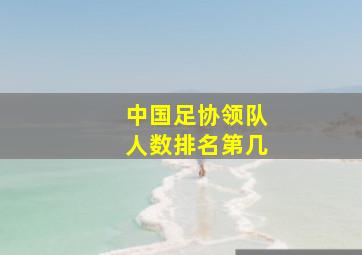 中国足协领队人数排名第几