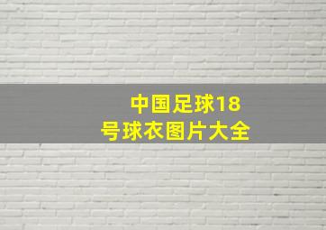 中国足球18号球衣图片大全