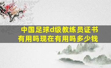 中国足球d级教练员证书有用吗现在有用吗多少钱