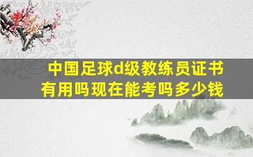 中国足球d级教练员证书有用吗现在能考吗多少钱