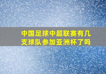 中国足球中超联赛有几支球队参加亚洲杯了吗