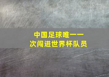 中国足球唯一一次闯进世界杯队员