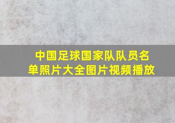 中国足球国家队队员名单照片大全图片视频播放