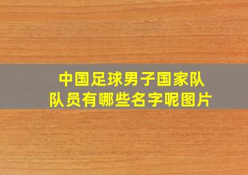 中国足球男子国家队队员有哪些名字呢图片