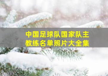 中国足球队国家队主教练名单照片大全集