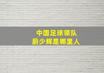 中国足球领队蔚少辉是哪里人