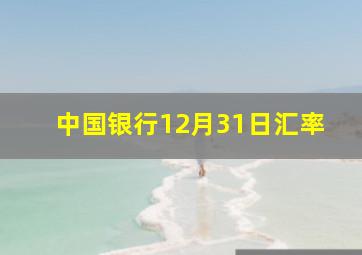 中国银行12月31日汇率