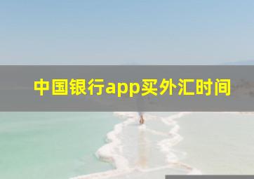 中国银行app买外汇时间