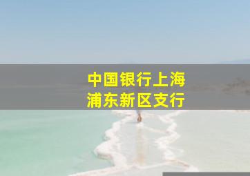 中国银行上海浦东新区支行