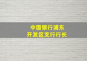 中国银行浦东开发区支行行长