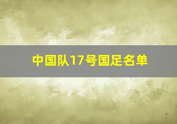 中国队17号国足名单