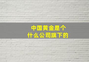 中国黄金是个什么公司旗下的