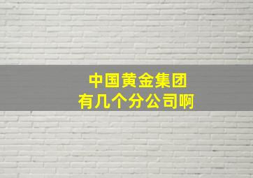 中国黄金集团有几个分公司啊