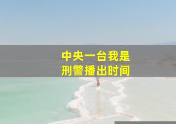 中央一台我是刑警播出时间