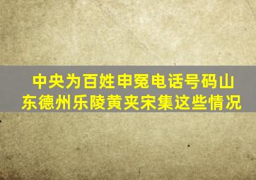 中央为百姓申冤电话号码山东德州乐陵黄夹宋集这些情况