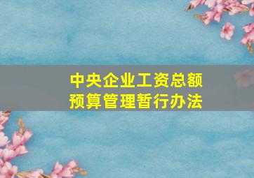 中央企业工资总额预算管理暂行办法