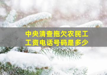 中央清查拖欠农民工工资电话号码是多少