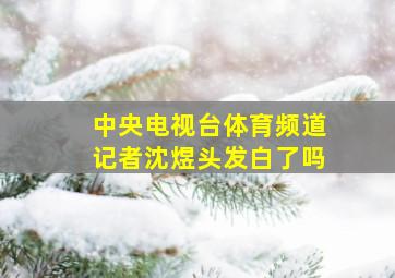 中央电视台体育频道记者沈煜头发白了吗