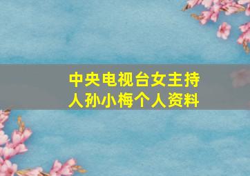 中央电视台女主持人孙小梅个人资料