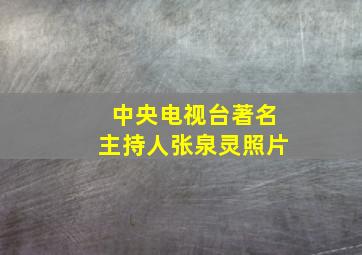 中央电视台著名主持人张泉灵照片