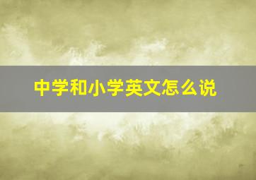 中学和小学英文怎么说