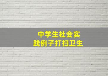 中学生社会实践例子打扫卫生