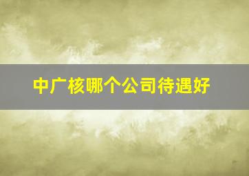 中广核哪个公司待遇好