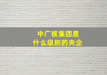 中广核集团是什么级别的央企