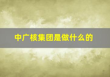 中广核集团是做什么的