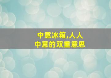 中意冰箱,人人中意的双重意思