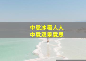 中意冰箱人人中意双重意思