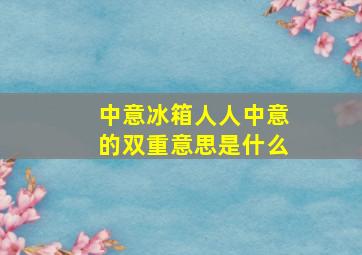 中意冰箱人人中意的双重意思是什么