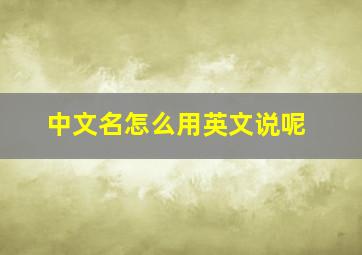 中文名怎么用英文说呢