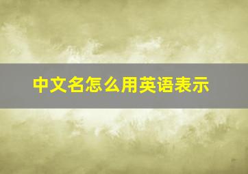 中文名怎么用英语表示