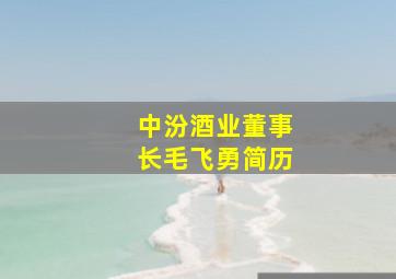 中汾酒业董事长毛飞勇简历