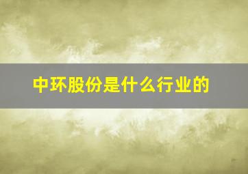 中环股份是什么行业的