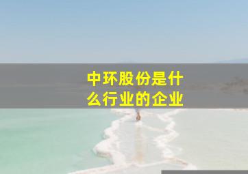 中环股份是什么行业的企业