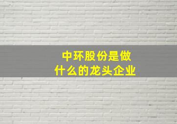 中环股份是做什么的龙头企业