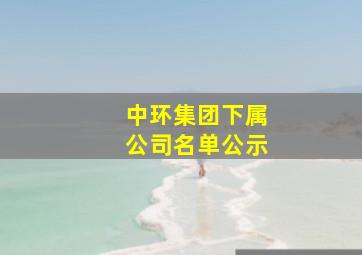 中环集团下属公司名单公示