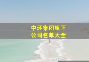 中环集团旗下公司名单大全