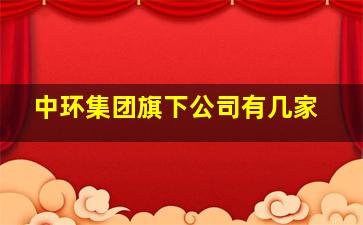 中环集团旗下公司有几家