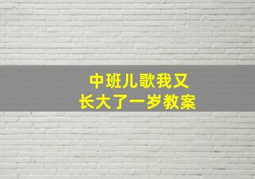 中班儿歌我又长大了一岁教案